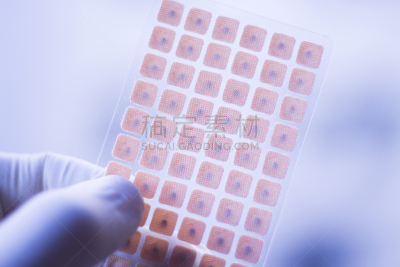 种子,针灸,人的耳朵,水平画幅,健康保健,标签,中医,药,耳针疗法