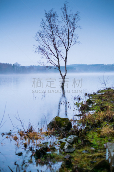 湖,哈罗盖特,垂直画幅,注视镜头,地形,山毛榉树,水库,户外,冬天,2015年