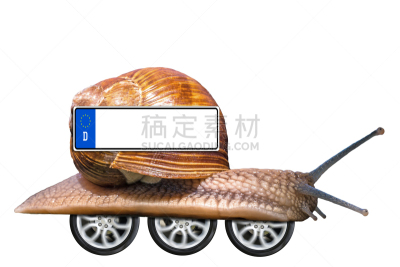 蜗牛,盘子,牌照,保险,鼻涕虫,商务,车轮,背景分离,汽车,迅速