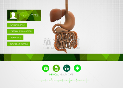人,顺序,胆囊,人类消化系统,有序,水平画幅,特写,做计划,计划书