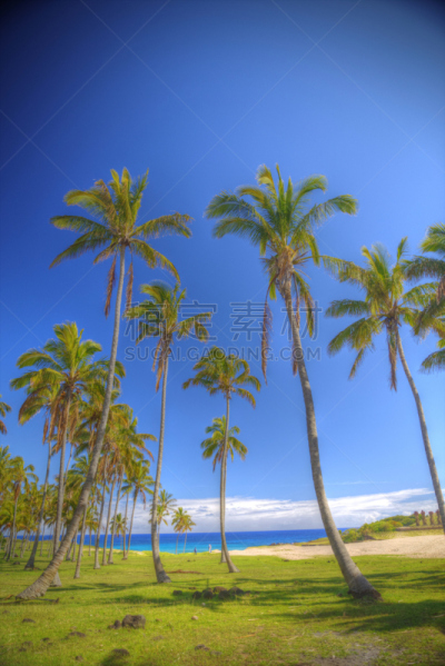 安纳根纳,沙子,海滩,珊瑚,白色,玛凯那海滩,复活节岛 ,垂直画幅,水,天空