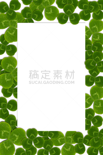式样,边框,三叶草,叶子,圣帕特里克节,垂直画幅,绿色,枝繁叶茂,爱尔兰共和国,无人