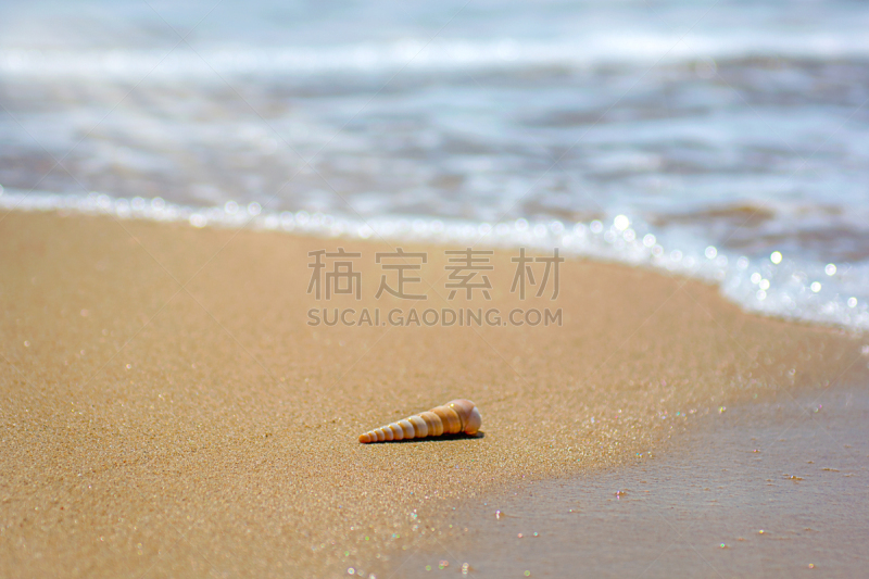 贝壳,波浪,海洋,海滩,水边,青绿色,华丽的,撒谎者,自然美,旅途
