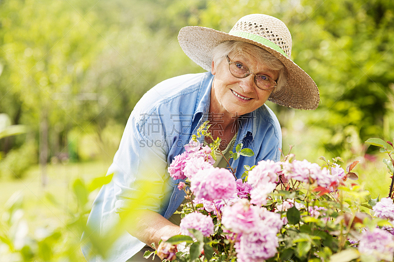 老年女人,园林,永远年轻,园艺,祖母,休闲追求,庭院,祖父母,退休金,衰老过程