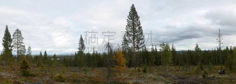 全景,泊北,北博滕,瑞属拉普兰,帕纳若玛山庄,拉普兰,森林开伐,水平画幅,山,户外