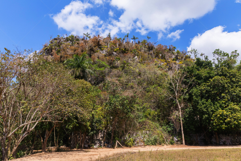 石灰岩残丘,山谷沟,全景,古巴,加勒比海地区,热带树,天空,美,水平画幅,旅行者