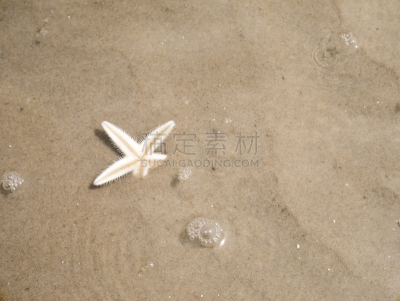 沙子,海星,水,浅的,自然,野生动物,水平画幅,无人,水下,爱琴海