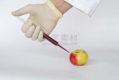 转基因,苹果,再结合,水平画幅,科学实验,科学,实验室,危险,农业,蔬菜