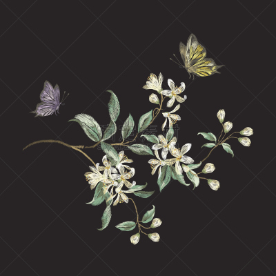 刺绣,花纹,樱花,蝴蝶,时髦的,领口,线,织品样本,针,野生植物