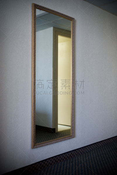 镜子,酒店,垂直画幅,住宅房间,弗雷德里克,墙,无人,地毯,门,反射