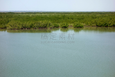 卡萨芒斯,塞内加尔,河流,济金绍尔,红树,红树林,独木舟,渔夫,水,水平画幅