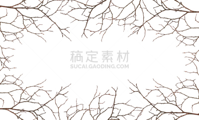 古老的,干的,叶子,嫩枝,两只动物,留白,褐色,重的,缩头术,瓦楞纸板