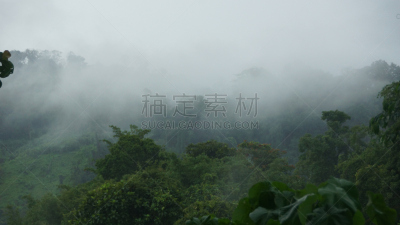 雾,国家公园,传统,清新,热带气候,云,热带树,夏天,户外,天空