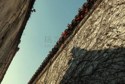 屋顶,清朝,灵性,优美,古老的,家庭生活,旅行者,居住区,白色