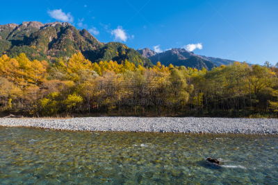 上高地国家公园,秋天,梓川,中部山岳国立公园,松本,飞驒山脉,三重县,长野县,东海区,公园
