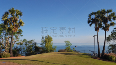 公园,达尔文,安全护栏,名声,天空,风,暴风雨,水平画幅,枝繁叶茂,200周年