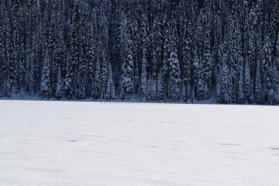 冬天,风景,2019,自然,越野滑雪板,季节,雪山,图像,雪花
