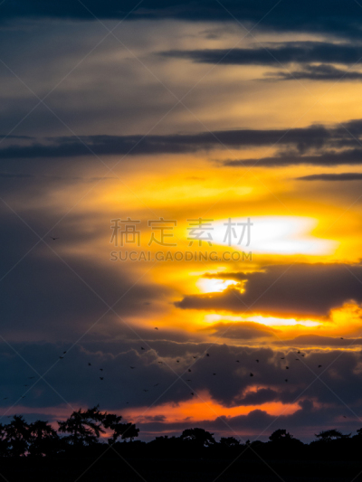 暴风雨,英格兰,垂直画幅,气候,无人,户外,戏剧性的天空,云景,气候与心情,自然的窗子