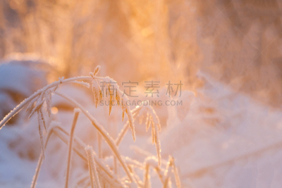 夜晚,日光,刀刃草,水平画幅,冬天,雪,无人,云,户外