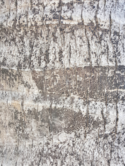 背景,摇滚乐,纹理效果,破碎的,自然,垂直画幅,式样,无人,墙纸剥离器,古老的