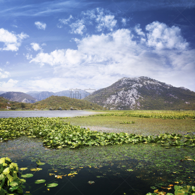 山,睡莲,湖,水,地形,荷花,池塘,沼泽,风景,环境保护