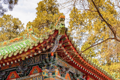 少林,宝塔,少林寺,寺庙,世界遗产,古董,武术,水平画幅,古老的
