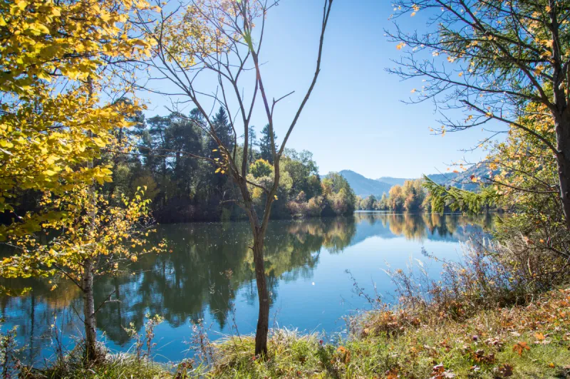 施蒂利亚 奥地利 风景 River Mur 秋天 白昼 水 水平画幅 无人 早晨图片素材下载 稿定素材