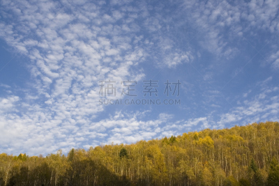 落叶松,山,瓷器,天空,风,水平画幅,无人,阴影,户外,草