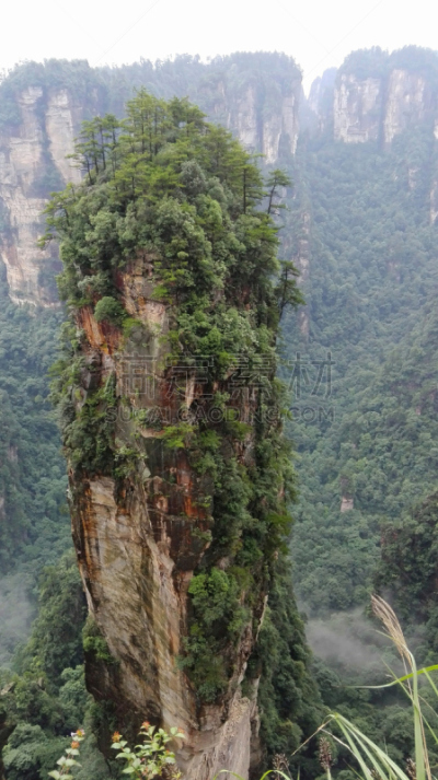 山,姿态优美,国内著名景点,旅途,公园,著名景点,自然美,张家界,武陵源风景名胜区,中国