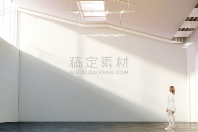 墙,空白的,现代,白色,女人,办公室小丑,画廊的开幕式,第二十世纪福克斯电影公司,动脉壁,内线航道