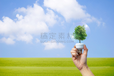 地球形,植物,手,概念,环境,拿着,电灯泡,巨大的,美,脑部