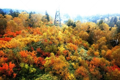 秋天,旭岳火山,大雪山国家公园,美瑛町,北海道,国家公园,水平画幅,无人,户外,烟