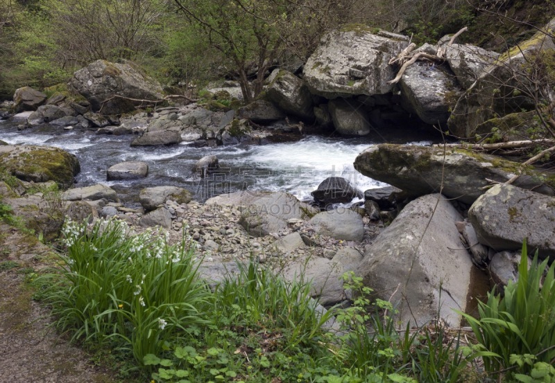 北戴文,英格兰,河流,东,沃特斯米特宅第,埃克斯穆尔国家公园,exmoor,萨默塞特,水平画幅,无人