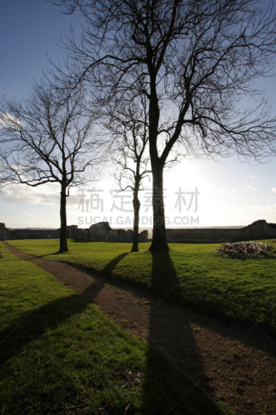 城堡,埃纳省,毕加底,垂直画幅,无人,欧洲,户外,法国,树,摄影