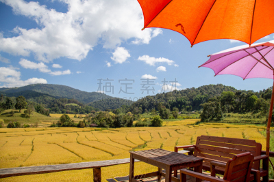 米,梯田,房屋,风景,地形,自然美,农业,东南亚半岛,热带气候,泰国