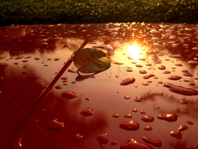 太阳,雨滴,牌照,水,水平画幅,湿,金属,阶调图片,泡泡,雨
