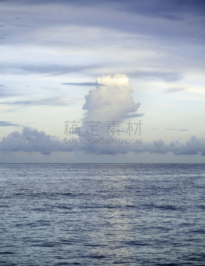 哈兰岱尔海滨,佛罗里达,自然,垂直画幅,水,沙子,无人,鸟类,夏天,海洋
