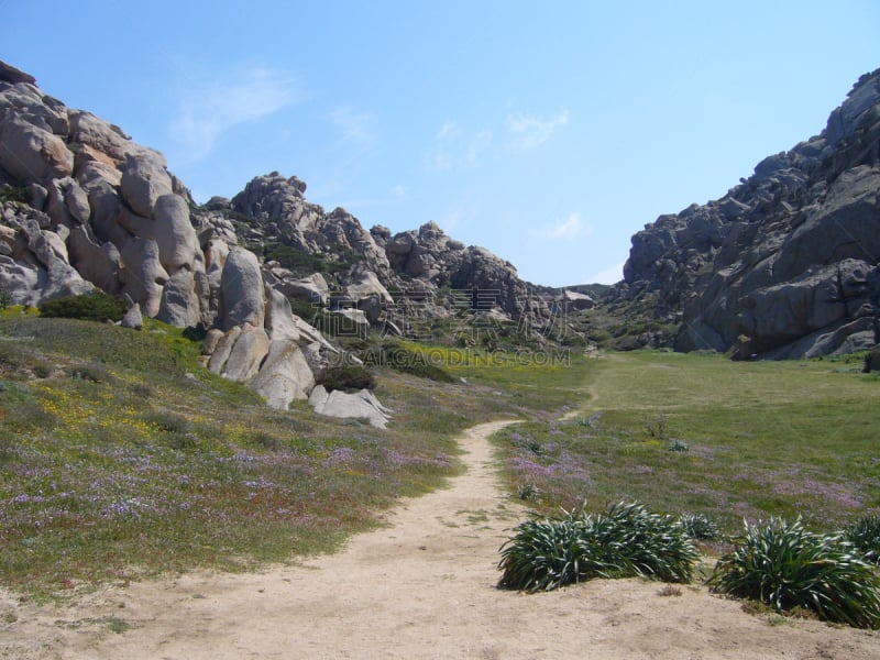 岩石,泰斯塔角,意大利,植物群,圣特雷莎加卢拉,地中海,花岗岩,山谷,月亮,桨叉架船