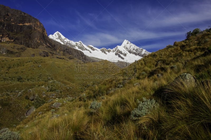 秘鲁,地形,山顶,安地斯山脉,科迪勒拉山脉,非凡的,一只动物,环境,云,雪