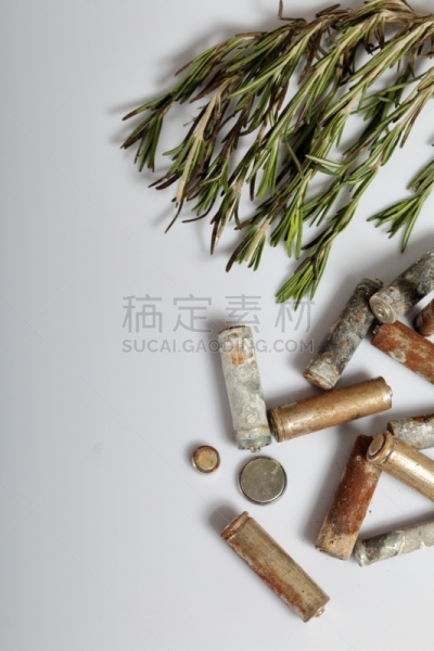 环境保护,电池,循环利用,古老的,枝,蔬菜,地球日,活力,农业,有毒废物