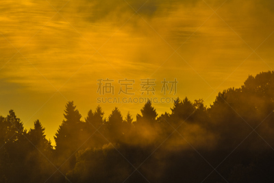 森林,长春花属,在上面,图像,水,天空,美,水平画幅,云,鸟类