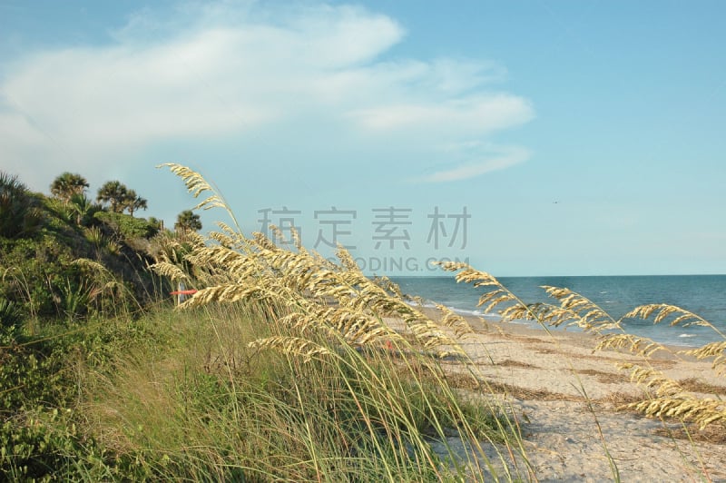 海滩,州立公园,水,宁静,水平画幅,沙子,燕麦,贝壳,旅行者,户外