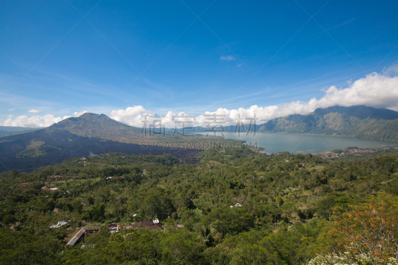 金塔马妮地区,葡萄树枫木,火山,自然,水平画幅,巴厘岛,无人,亚洲,2015年,森林