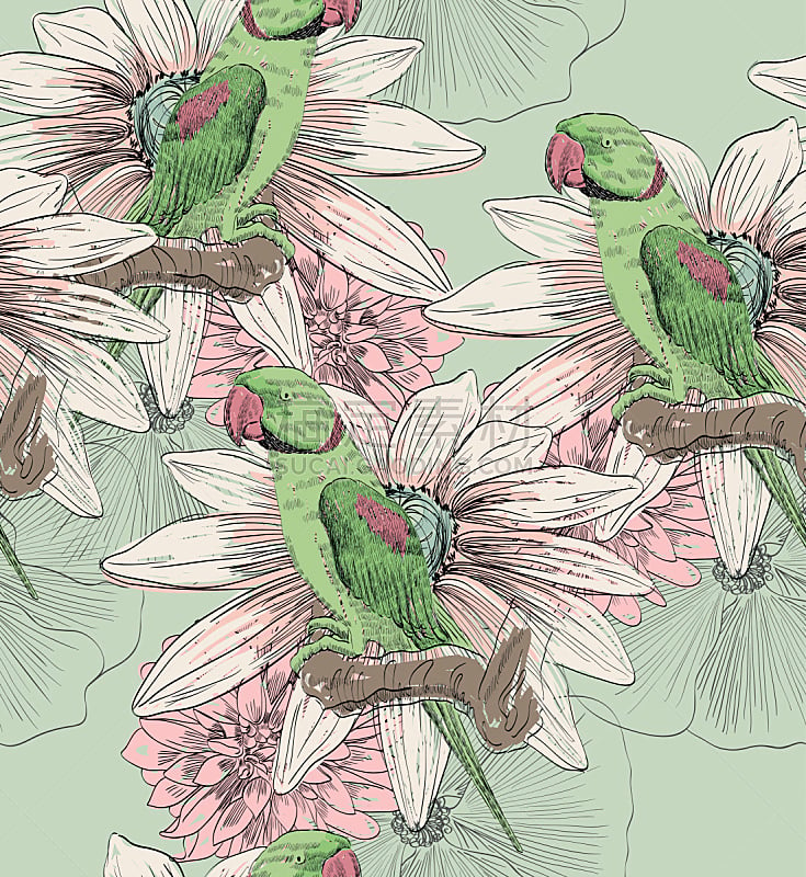 鹦鹉,四方连续纹样,牡丹,粉色,垂直画幅,绘画插图,艺术,无人,鸟类,夏天