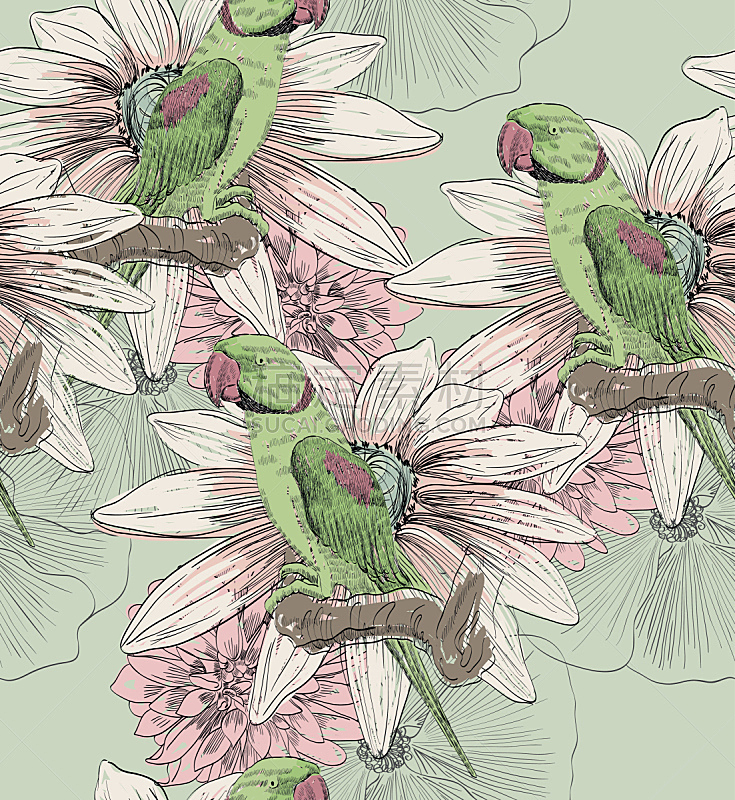 鹦鹉,四方连续纹样,牡丹,粉色,垂直画幅,绘画插图,艺术,无人,鸟类,夏天