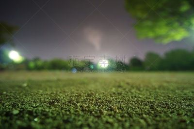 天空,叶子,秋天,水平画幅,无人,葡萄树枫木,户外,橡树林地,风景,大分县