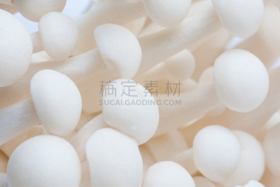 白蘑菇,姬菇,孢子,自然,水平画幅,无人,有机食品,蘑菇,特写,植物茎