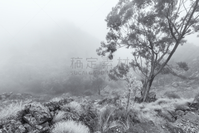 水平画幅,无人,当地著名景点,早晨,偏远的,户外,怪异,单色调,葡萄牙,著名自然景观