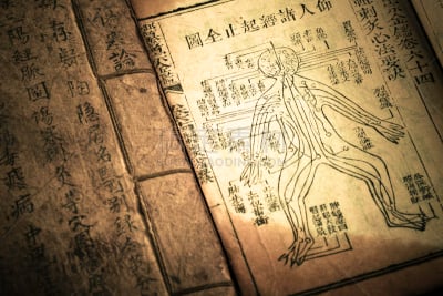 清朝,过时的,书,草药,中医,易经,道教,针灸,中文,汉字