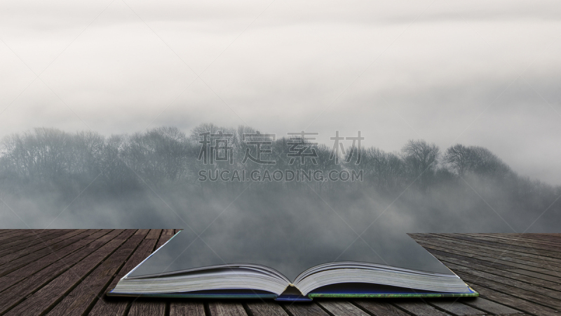英格兰,书页,冬天,图画书,雾,黎明,地形,飘然,宏伟,翻滚
